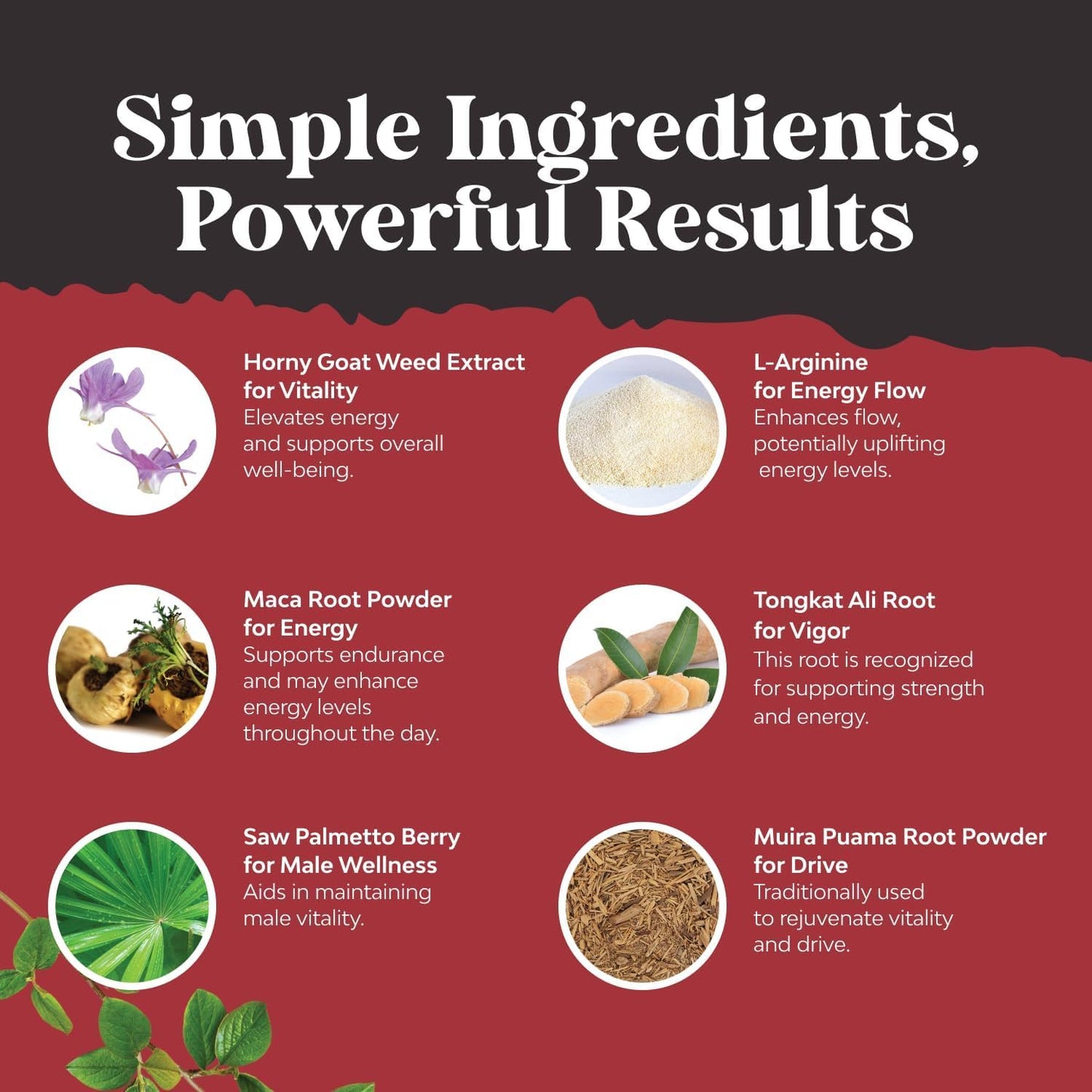 Bundle of Horny Goat Weed for Male Enhancement - Tongkat Ali Saw Palmetto Extract Panax Ginseng Black Maca Root for Stamina and Berberine with Ceylon Cinnamon - Heart Health and Sugar Support