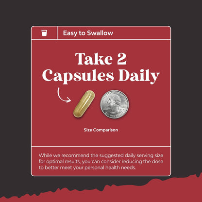 Bundle of Horny Goat Weed for Male Enhancement - Tongkat Ali Saw Palmetto Extract Panax Ginseng Black Maca Root for Stamina and Berberine with Ceylon Cinnamon - Heart Health and Sugar Support